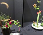 台湾人长辈会花画艺术联展银发族展才华