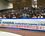 海洋動物擱淺研討會 15國專家齊聚搶救鯨豚