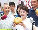 高接梨中的LV 寶島第一顆甘露梨上市