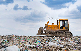 混合可回收垃圾易交叉污染 也得去掩埋場