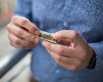 研究： 年輕人吸大麻 更易抑鬱焦慮