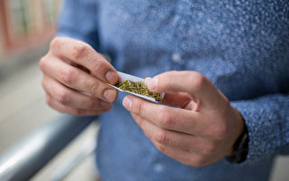 研究： 年轻人吸大麻 更易抑郁焦虑