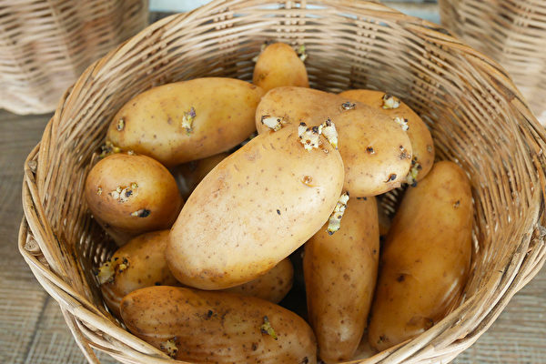 發芽或綠色馬鈴薯是否能吃？專家解答