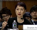 谭竞嫦美国国会香港人权法听证会证词