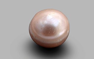具有8000年歷史 世界最古老珍珠出土