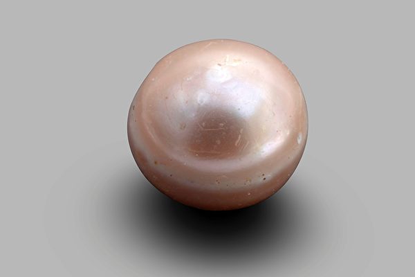具有8000年歷史 世界最古老珍珠出土