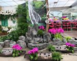 卓蘭花露休閒農場  【靚花水悅】蘭花館開幕