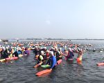 大鵬灣海水長泳   1500人挑戰場面壯觀