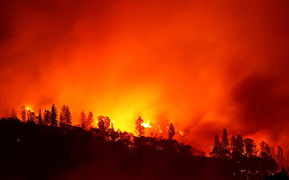 加州野火肆虐导致高速公路关闭 数百居民疏散