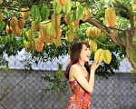 組圖：人美心也美 空姐愛心年曆推廣台灣水果