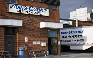 疑染大肠杆菌 多伦多屠宰厂大批牛肉召回