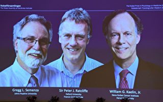2019諾貝爾醫學獎揭曉 英美3學者獲殊榮