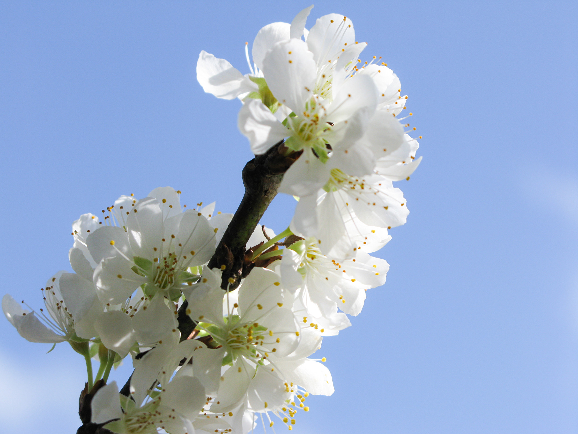 回首流亡路 1949外一章 上 王臨冬 聯經出版公司 書摘 大紀元