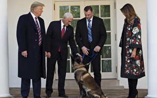 追击ISIS首脑的狗狗现身白宫 川普：它很顽强