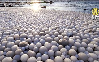 芬蘭海灘現奇景！數千萬「冰蛋」占領海灘
