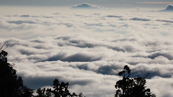 组图：台阿里山见枫红 摄影师分享自然美景
