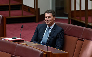 澳洲保守黨創始人貝爾納迪年底退出政壇