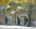 多伦多降雪降温破同日纪录 周二晚接近-20℃