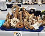 连续安打 明道餐旅系学生单月连获金牌捷报