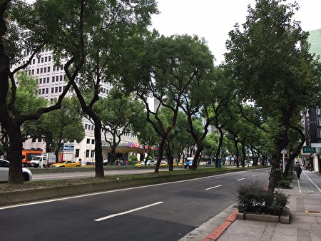 有台灣香榭大道之稱的中山北路。