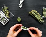 大麻合法惹祸？ 加拿大小岛居民邮件大量被拆