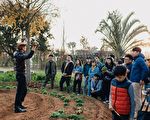 坜西坪秋季田园飨宴 近距离参与秋收喜悦
