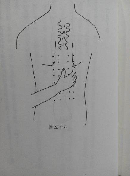 抓背部两条膀胱经，从肩胛骨至腰部(参见上图）。