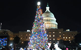 组图：美国国会山点亮圣诞树