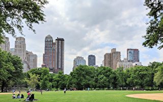 今年纽约中央公园重罪案增31％