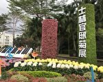诗意之冬——雪菊金英 清香扑鼻
