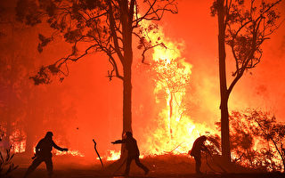 悉尼春季反常高温破纪录 新州出现77处山火