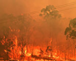 澳洲旱災山火致嚴重缺水 中企抽地下水牟利