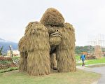 花蓮第一屆稻草藝術季  銀背猩猩富里現蹤