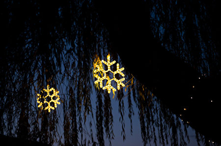 11月23日至2020年1月12日，哈里森溫泉美麗的冬季——湖畔燈光節登場。