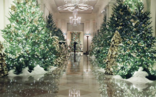 第一夫人宣布白宮聖誕主題——魔力奇跡和歡樂