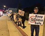 艾市允大麻开店 仅征税案登公投