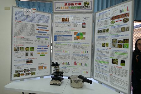 北梅国中科展作品“探讨虫生真菌对疣胸琉璃蚁的致死情形”获全国第一名。