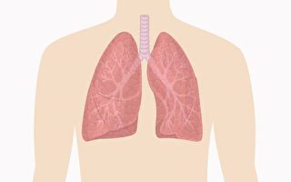 2方法看出你肺功能好坏 医师让肺变好的秘诀