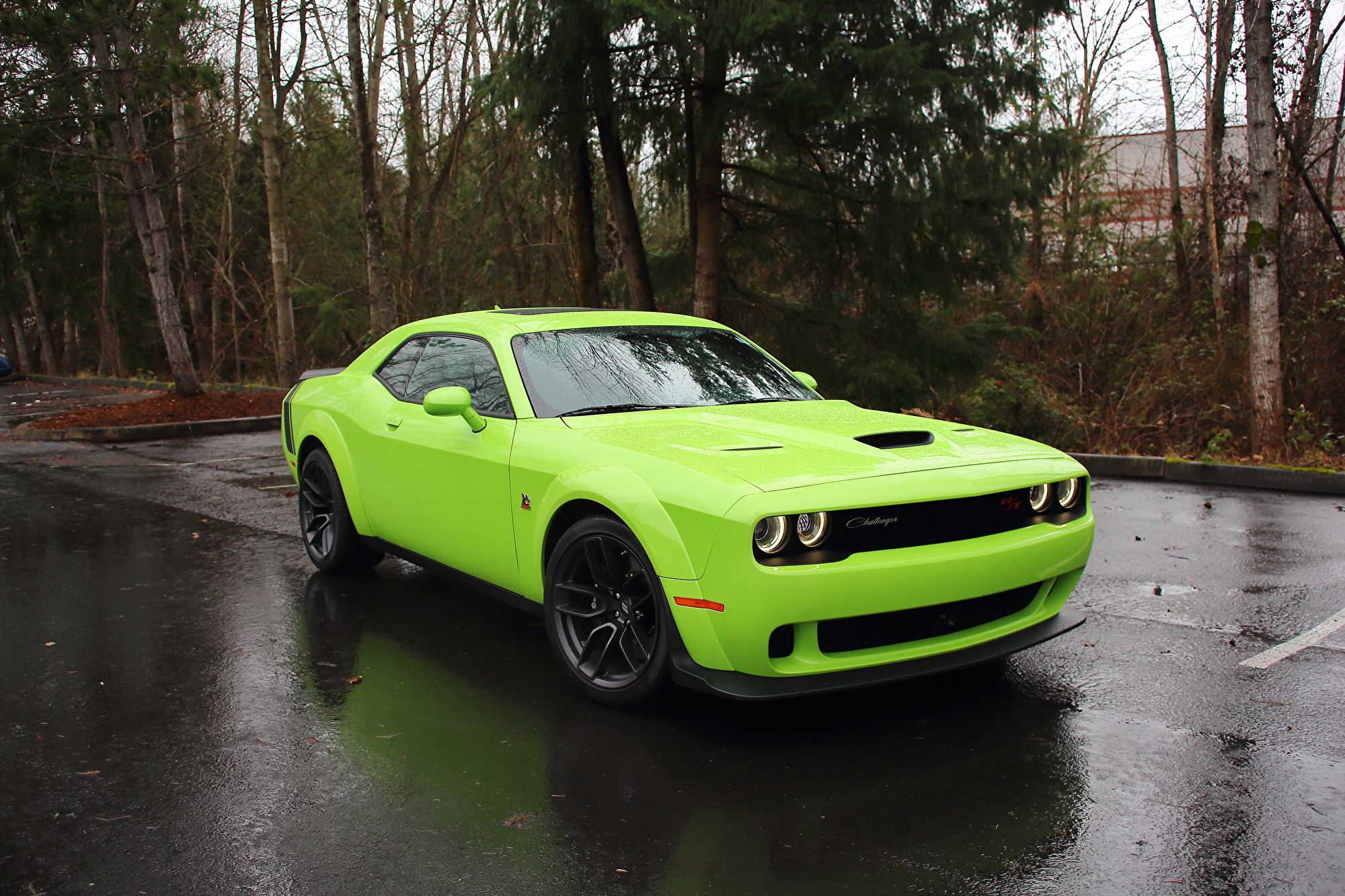 2019 Dodge Challenger R/T Scat Pack Widebody。〈李奥/大纪元)