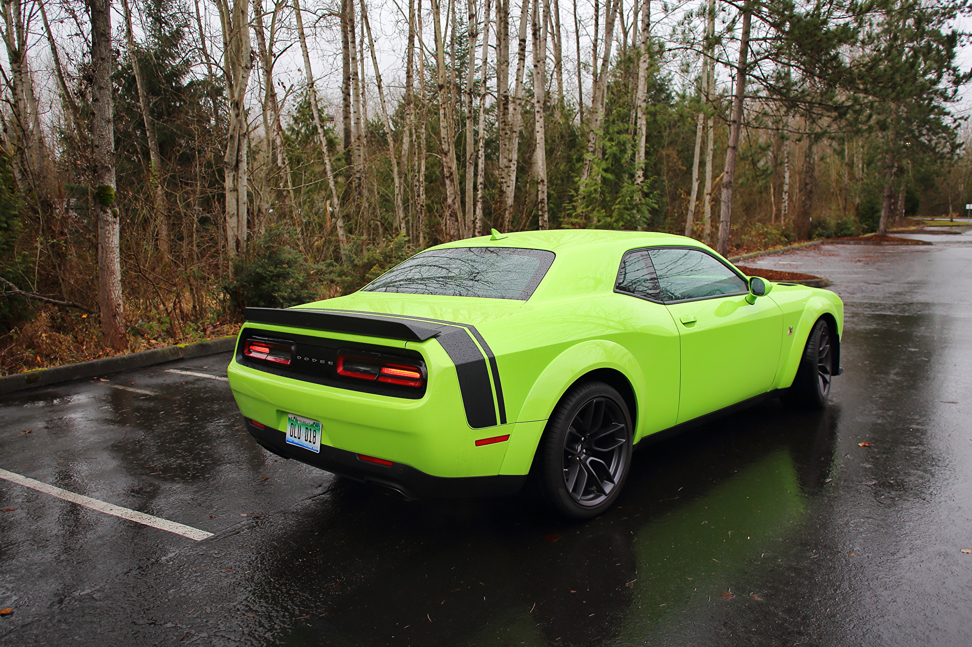 2019 Dodge Challenger R/T Scat Pack Widebody。〈李奥/大纪元〉