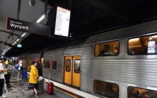 報告：悉尼鐵路難堪重負 需求激增列車老化