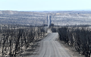 总理宣布援助1100万 帮南澳山火灾民重建