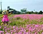 日遊花海夜賞燈  台中西屯過年有秘境