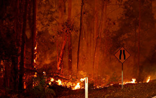 澳洲首推APP评估山火威胁 帮居民保护家园