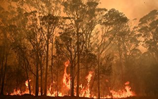 澳洲野火肆虐 濃煙中出現「惡魔的臉」