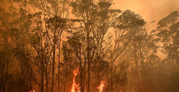 澳洲暴雨浇熄森林大火 却引发山洪