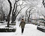 组图：北京降大雪 逾百航班被取消