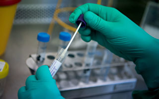 澳洲6週內將對中共肺炎疫苗做動物實驗