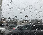 多倫多今年1月降雨量有史以來第二多