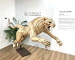 動物園正夯 《動物研究室》特展即日起展出